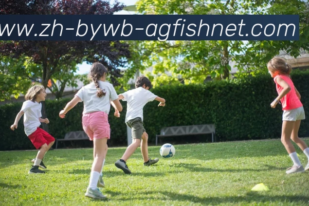 AG捕鱼王官网APP 封面图