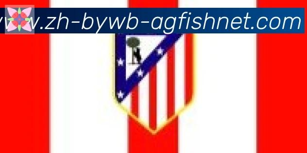 AG捕鱼王官网合作伙伴